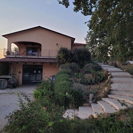 La Residenza Di Campagna Guest House Manciano Exterior foto