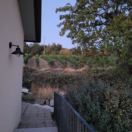 La Residenza Di Campagna Guest House Manciano Exterior foto