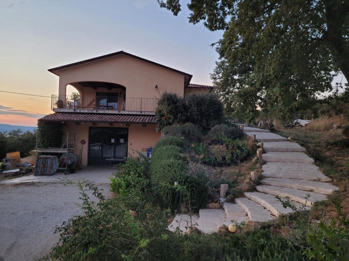 La Residenza Di Campagna Guest House Manciano Exterior foto
