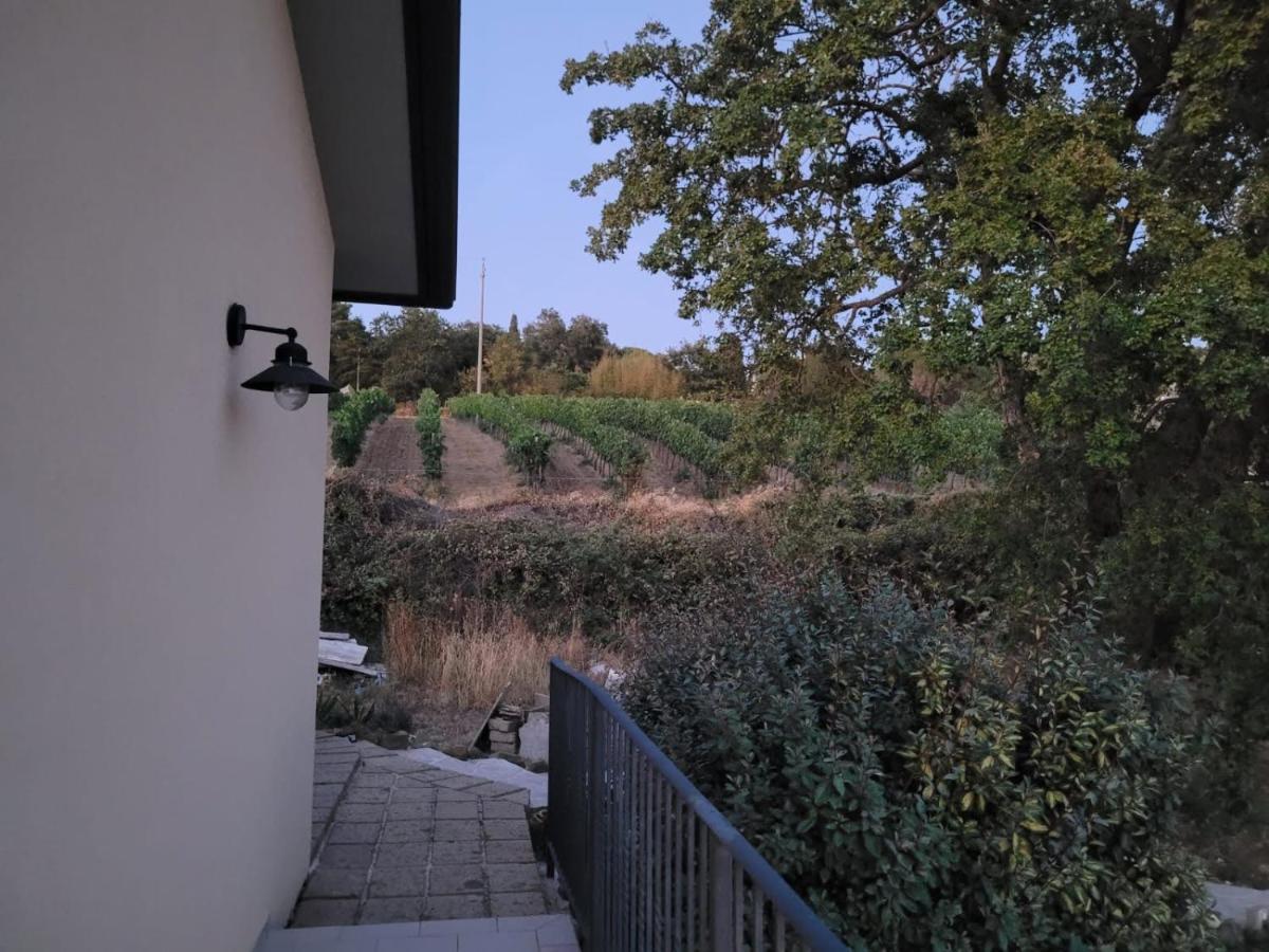 La Residenza Di Campagna Guest House Manciano Exterior foto
