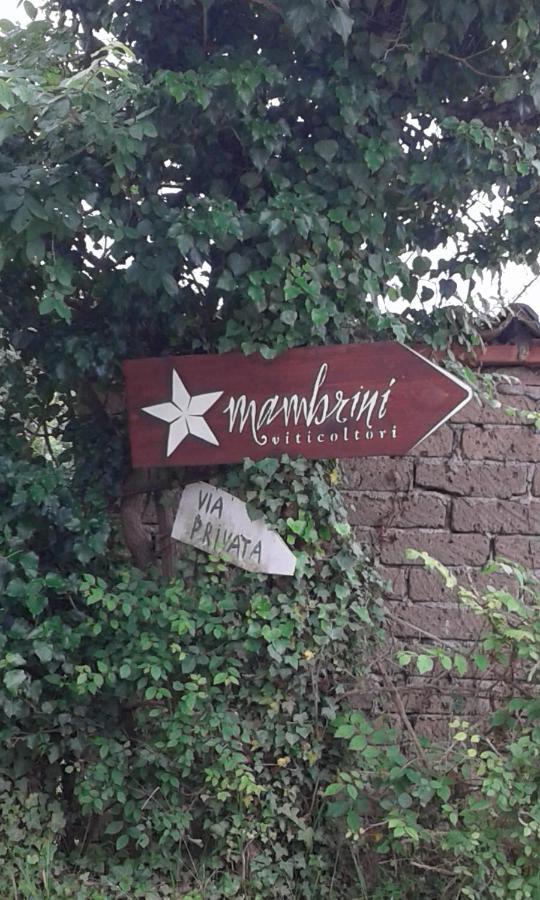 La Residenza Di Campagna Guest House Manciano Exterior foto